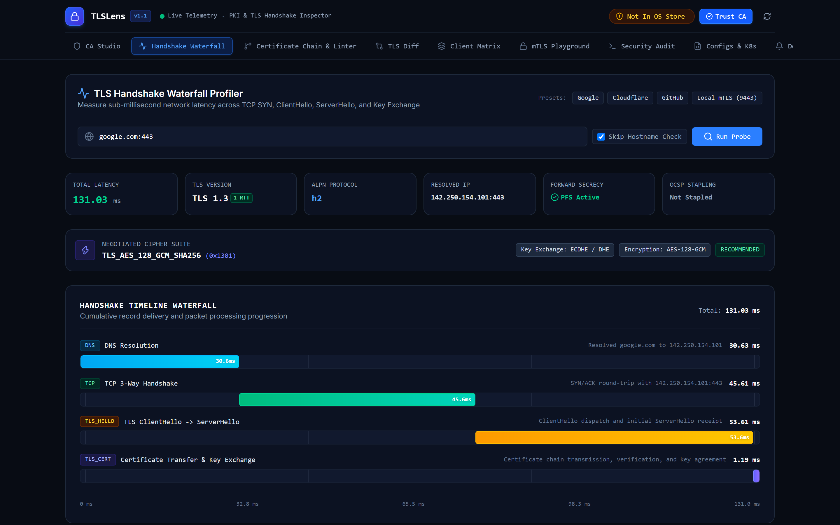 TLSLens Screenshot Preview 2