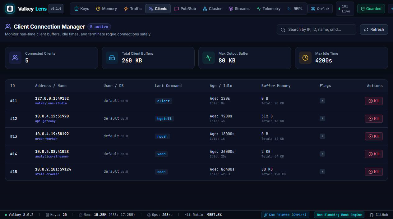 ValkeyLens Screenshot Preview 6