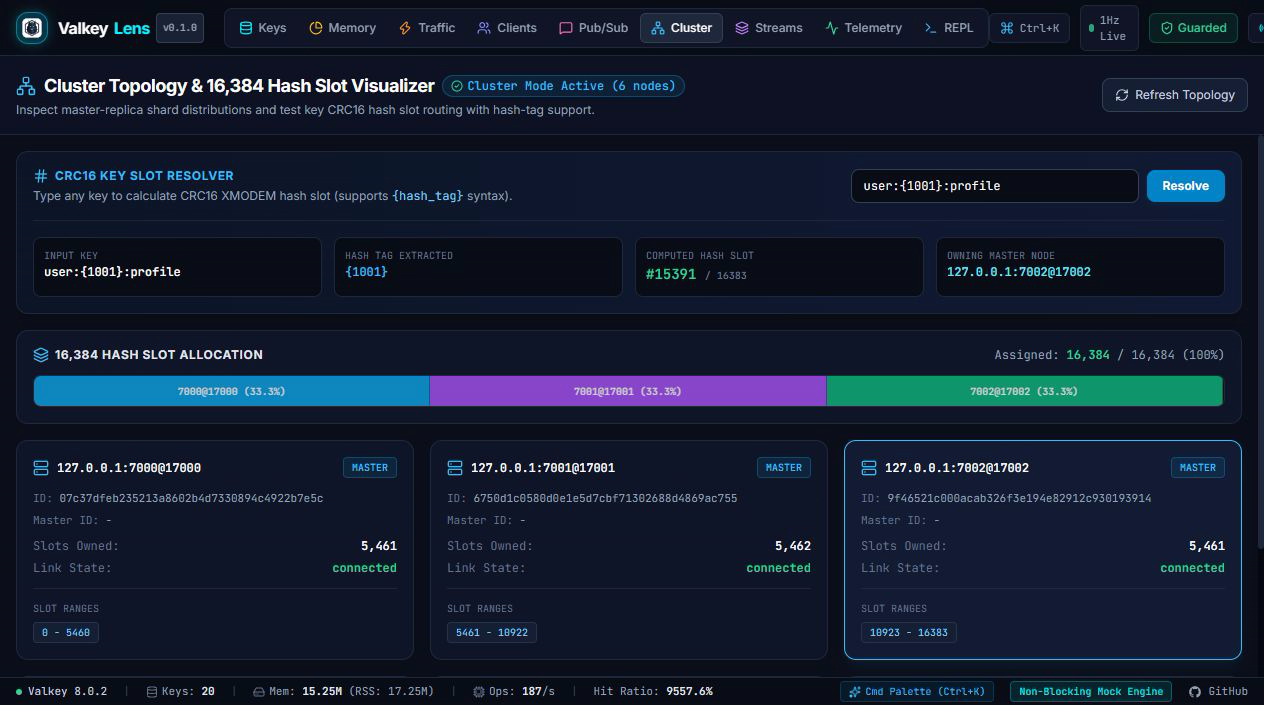 ValkeyLens Screenshot Preview 8