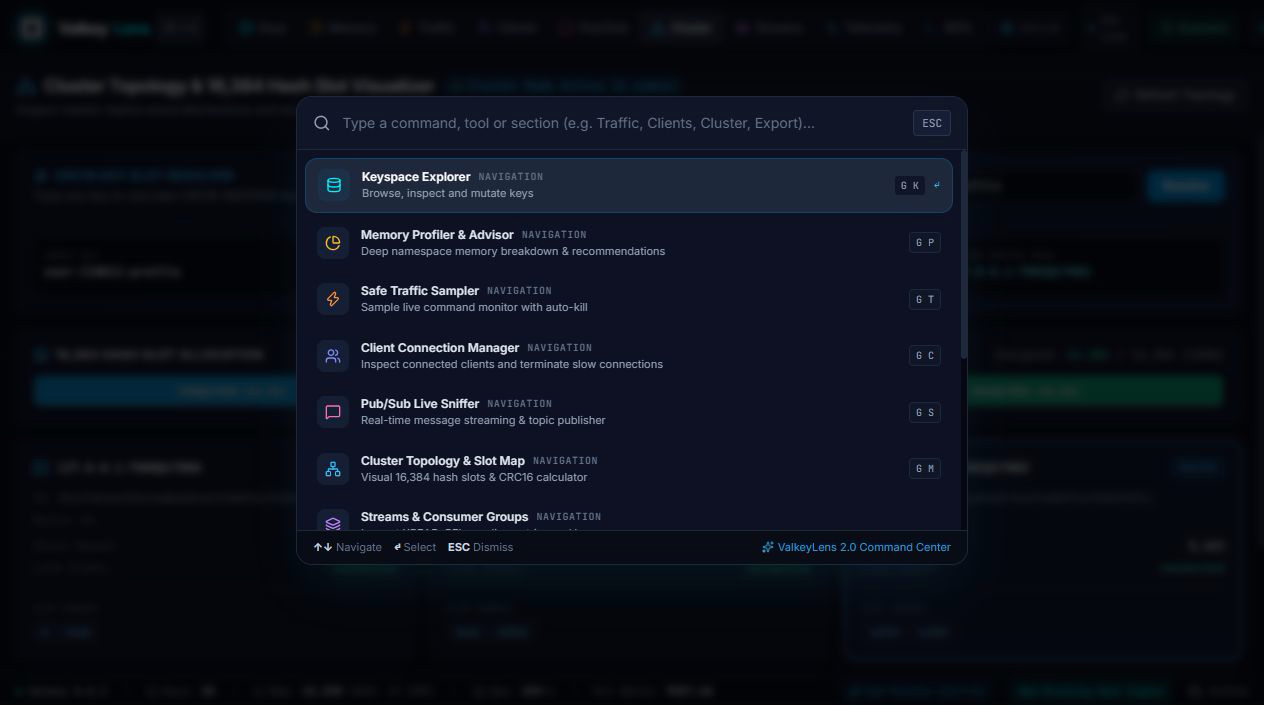 ValkeyLens Screenshot Preview 3
