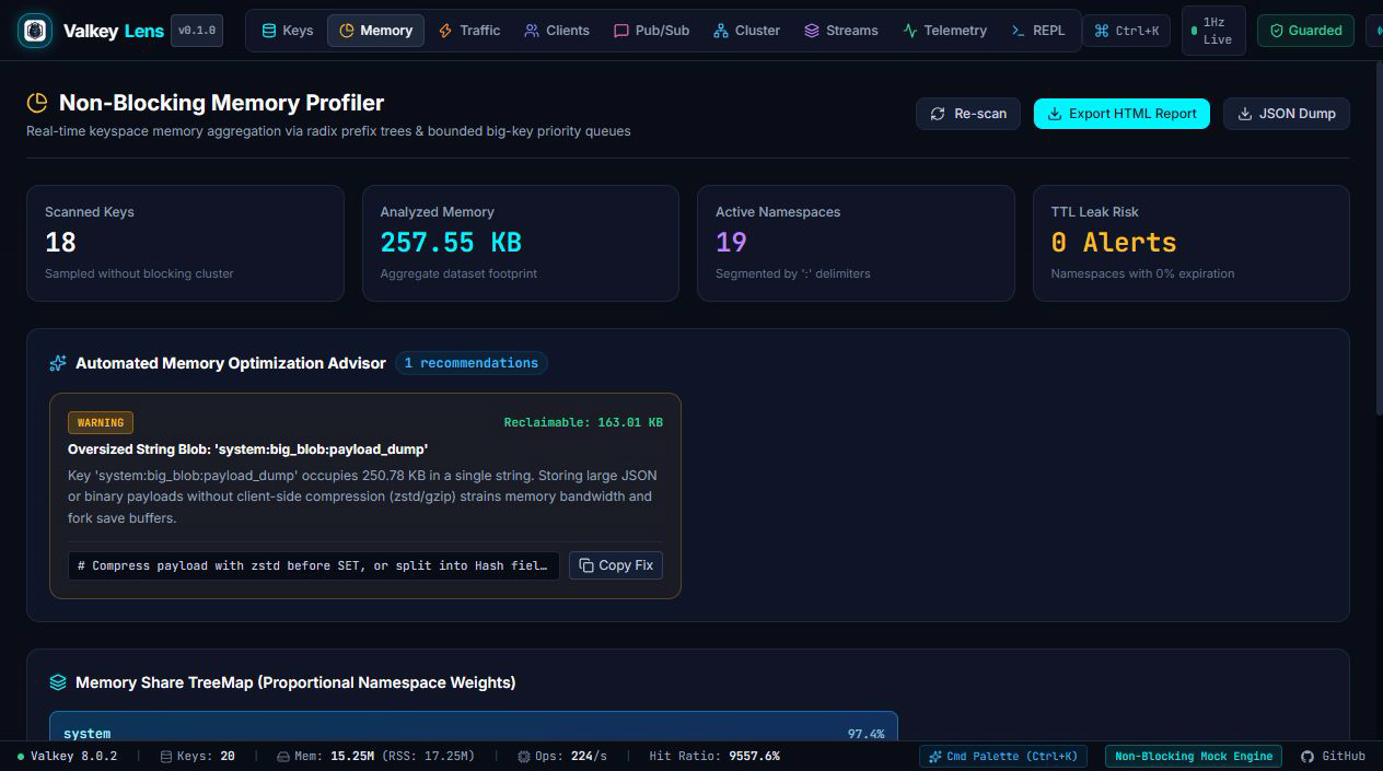 ValkeyLens Screenshot Preview 4