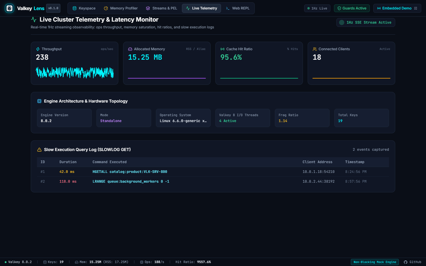 ValkeyLens Screenshot Preview 10