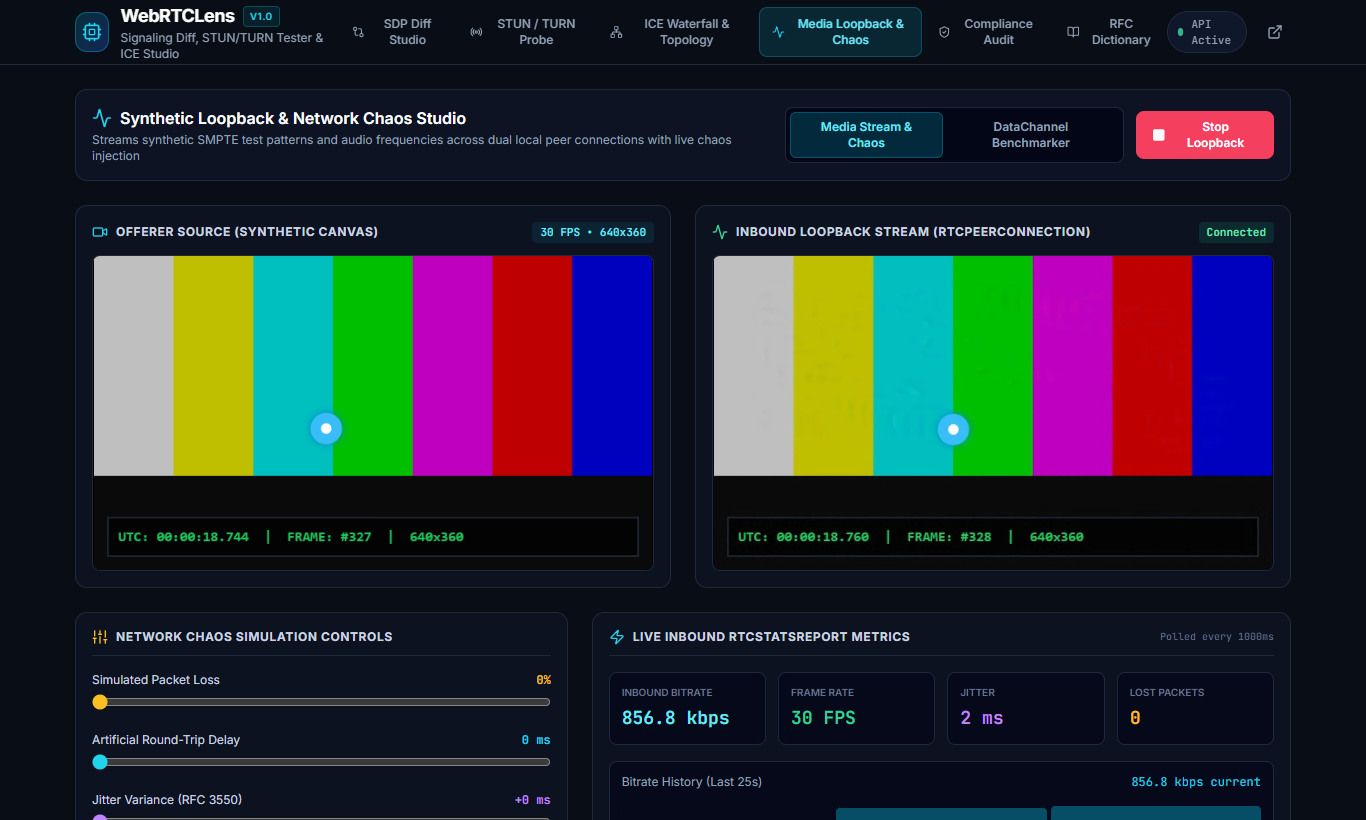 WebRTCLens Screenshot Preview 6